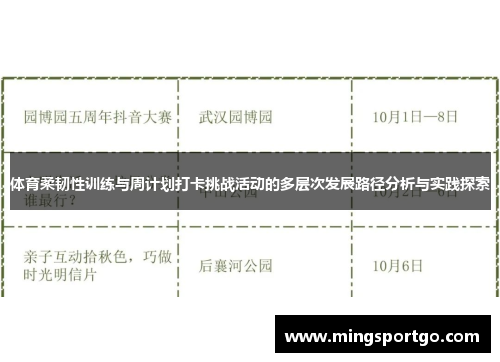 体育柔韧性训练与周计划打卡挑战活动的多层次发展路径分析与实践探索