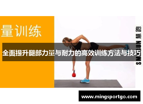 全面提升腿部力量与耐力的高效训练方法与技巧