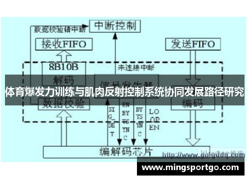 体育爆发力训练与肌肉反射控制系统协同发展路径研究